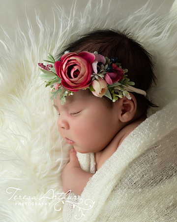 studio newborn portraits by teresa arthur photography