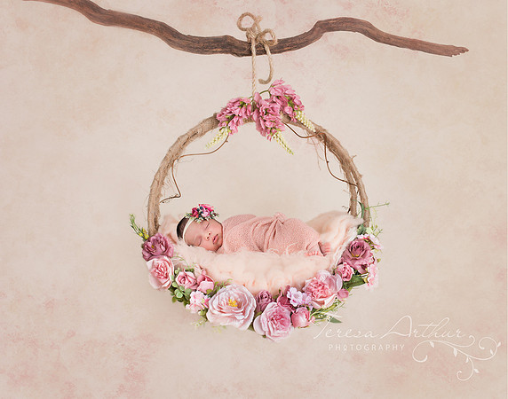 newborn in swing portrait by teresa arthur photography