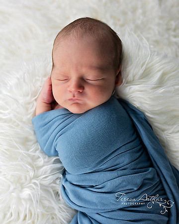 custom newborn portrait photography in nova