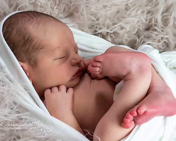 minimalist newborn portrait photographer in nova teresa arthur photography