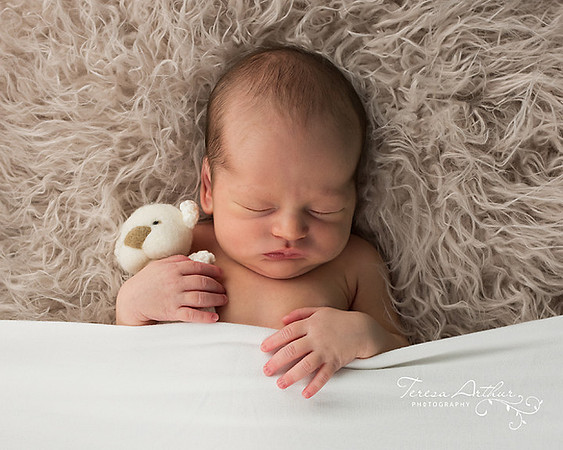 cute newborn pictures photography in nova area