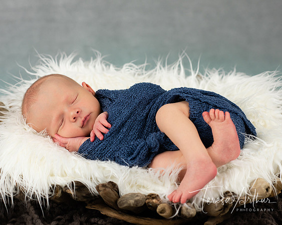 newborn baby boy portrait by teresa arthur in nova