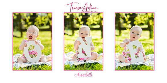 one year baby photos by teresa arthur in warrenton va
