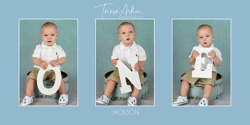 one year baby portraits by teresa arthur photography in warrenton va