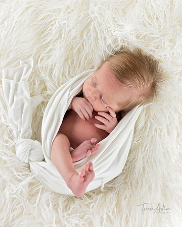 natural look newborn portraits by teresa arthur photography in nova