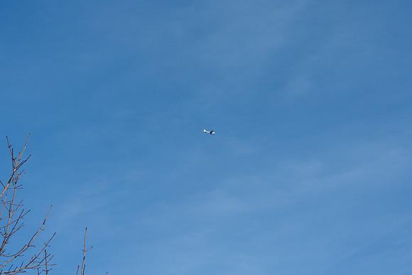 HARRISON FLYOVER-11-25-24-19