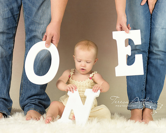 gainesville va baby photographer