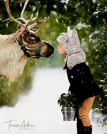 CHRISTMAS PHOTO PHOTOGRAPHERS IN NORTHERN VA-TERESA ARTHUR PHOTOGRAPHY-WARRENTON VA