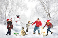 SNOWMAN PHOTOS BY TERESA ARTHUR PHOTOGRAPHY WARRENTON VIRGINIA