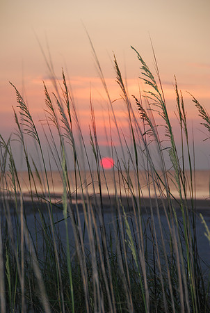 2008 Hilton Head 066