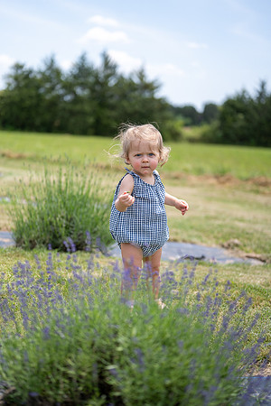Margaret-Lavender Farm-2024-91