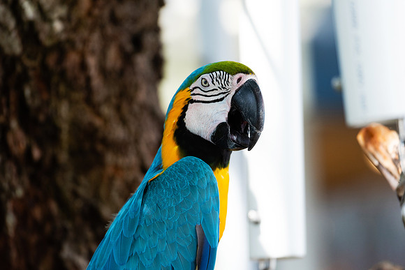 Vacation-HHI-2018-391