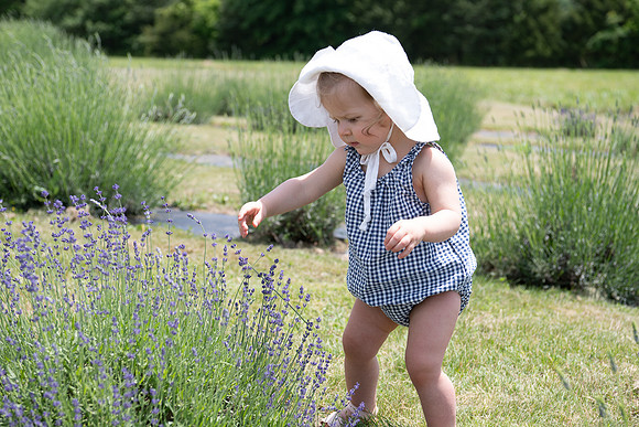 Margaret-Lavender Farm-2024-36