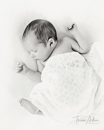 PROFESSIONAL NEWBORN PORTRAIT PHOTOGRAPHERS IN NORTHERN VIRGINIA-TERESA ARTHUR PHOTOGRAPHY-NEWBORN PHOTOGAPHER