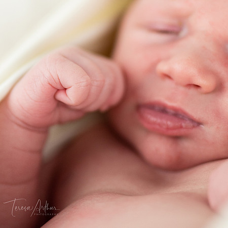 PHOTOGRAPHERS FOR NEWBORNS IN NORTHERN VA-TERESA ARTHUR PHOTOGRAPHY-WARRENTON VA
