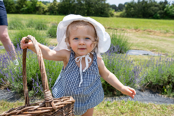 Margaret-Lavender Farm-2024-41