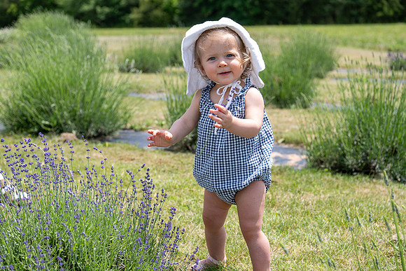 Margaret-Lavender Farm-2024-29
