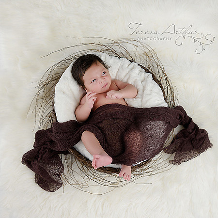 newborn boy in basket natural newborn photos