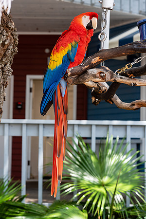 Vacation-HHI-2018-494
