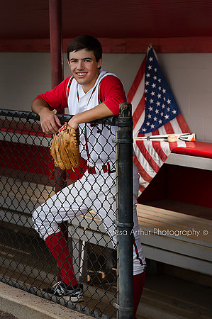 fauquier falcons baseball