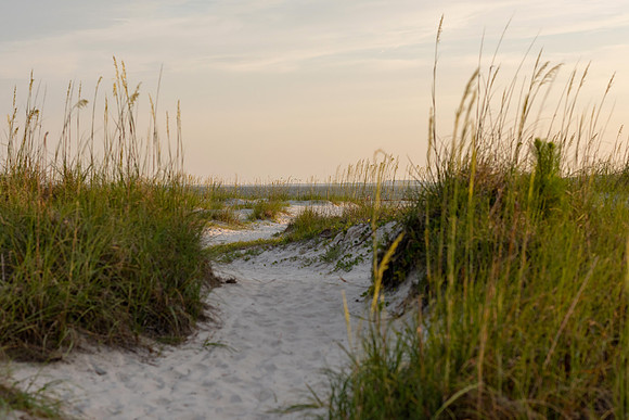 Vacation-HHI-2018-500
