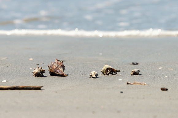Vacation-HHI-2018-380