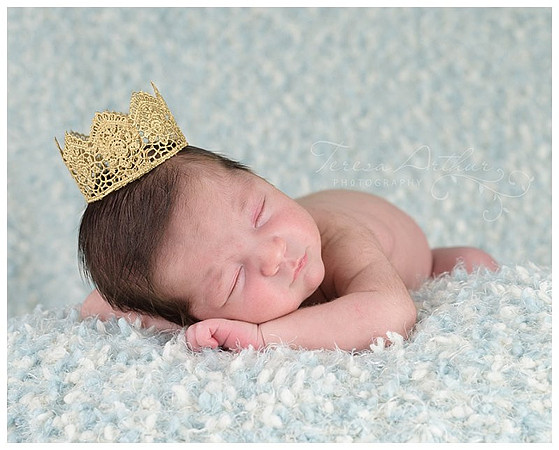 Warrenton Newborn Photographer