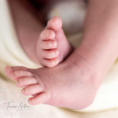 NEWBORN PHOTO SESSION BY TERESA ARTHUR PHOTOGRAPHY-NEWBORN PHOTOGRAPHER-WARRENTON VA- NOVA