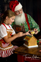 BESPOKE SANTA SESSIONS BY TERESA ARTHUR PHOTOGRAPHY NORTHERN VIRGINIA
