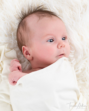 NEWBORN BABY BOY PORTRAITS BY TERESA ARTHUR PHOTOGRAPHY IN NORTHERN VA-WARRENTON VA