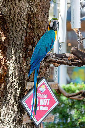 Vacation-HHI-2018-390