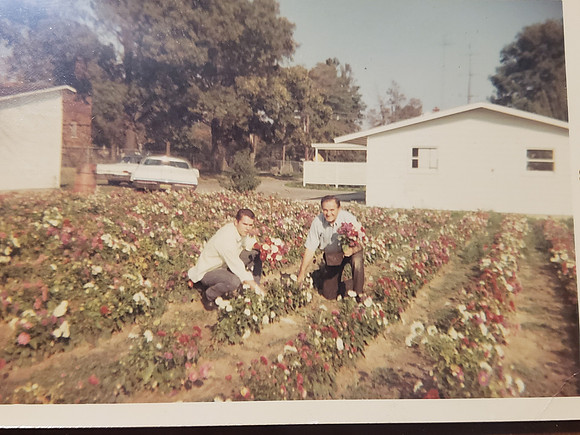 1968-10259 Clio Road-Clio MI-Grandpa Bill and Chuck Sabo (son)