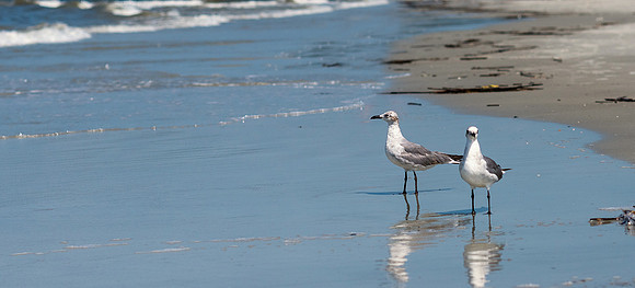Vacation-HHI-2018-80