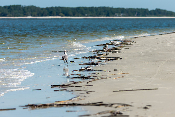 Vacation-HHI-2018-273