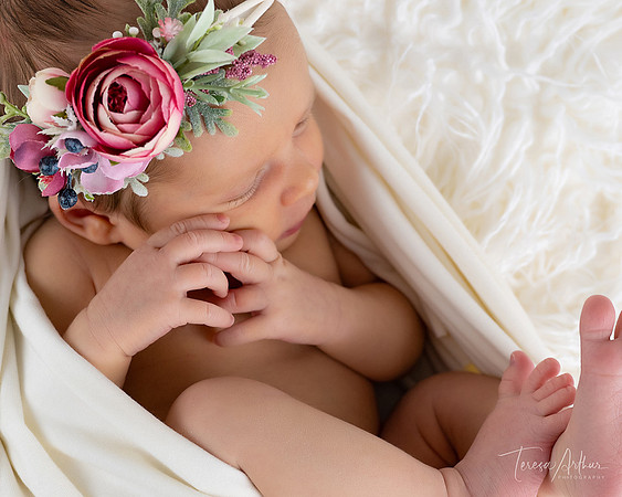 BEAUTIFUL NEWBORN PORTRAIT-NEWBORN PHOTOGRAPHER TERESA ARTHUR-WARRENTON VA