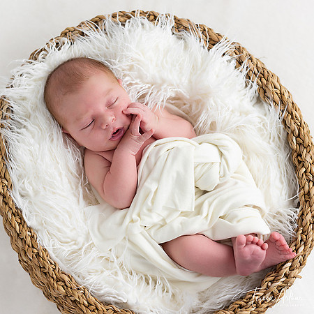 BEAUTIFUL NEWBORN PORTRAITS BY TERESA ARTHUR PHOTOGRAPHY IN FAUQUIER COUNTY