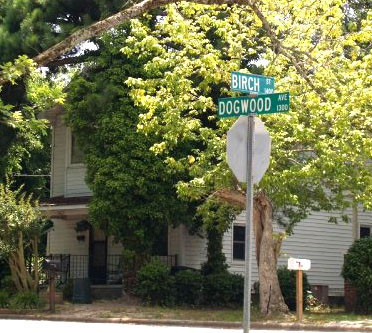 Dogwood Ave