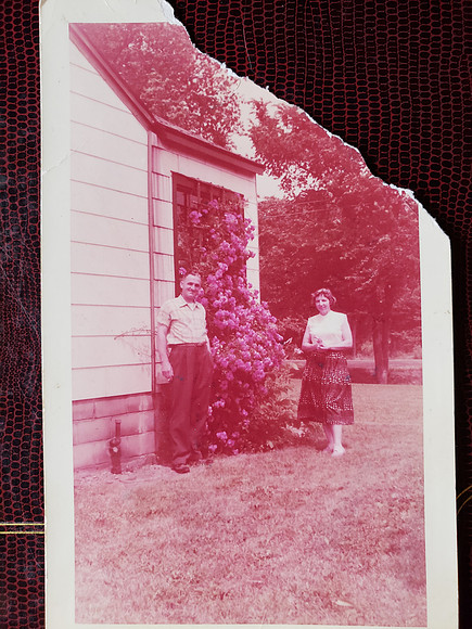 1960s-William H Sabo and Anna K Sabo Clio MI